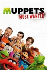 Muppets Aranıyor
