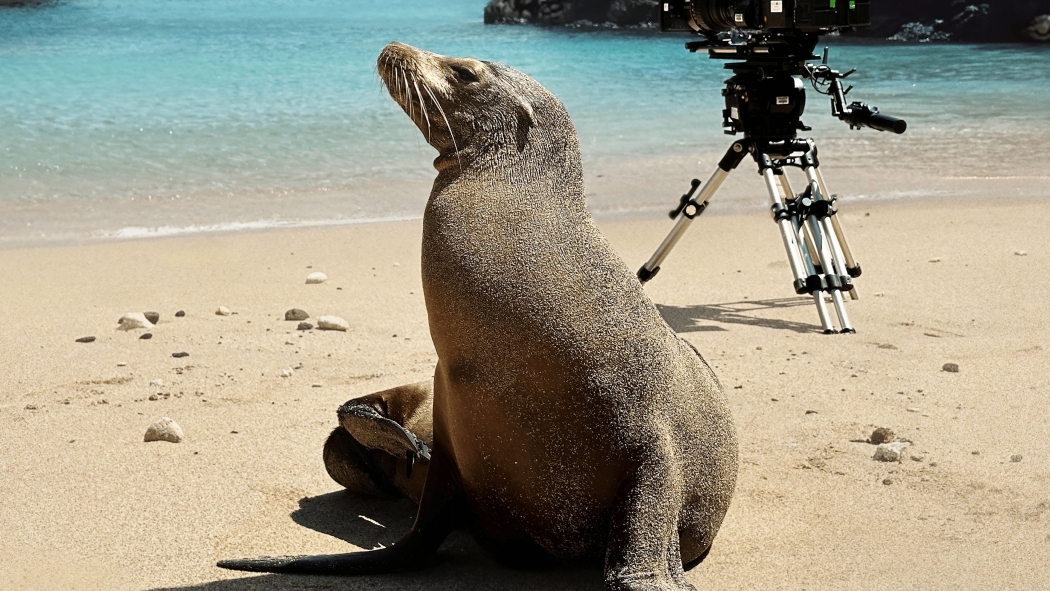 Galapagos'un Koruyucuları izle