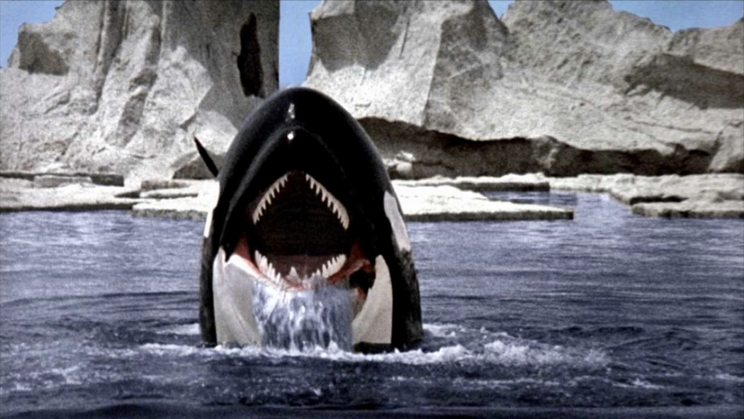 Orca Denizin Aslanı (1977) izle